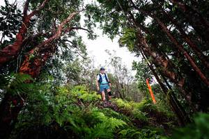 BIB: 
                            <button type="button" onclick="openModal(26202685)" class="btn btn-primary btn-sm float-right btn-popup" data-toggle="modal" data-target=".modal-high-quality">
                        <i class="fas fa-shopping-cart"></i> Add to Cart
                    </button>
                                            <button type="button" onclick="isThisMe(26202685, true)" class="btn btn-success btn-sm float-right btn-popup btn-isme hidden" data-toggle="tooltip" data-placement="bottom" title="นี่คือรูปของคุณใช่ไหม คลิกที่นี่เพื่อเอาเข้าอัลบั้ม">
                        <i class="fas fa-plus"></i> Add to album
                    </button>
                    <button type="button" onclick="isThisMe(26202685, false)" class="btn btn-warning btn-sm float-right btn-popup btn-isnotme hidden">
                        <i class="fas fa-ban"></i> Remove from album
                    </button>